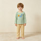 NEW RTS NO MOQ milk silk BLP1515 Embroidery Pumpkin Dinosaurs Baby Boys Top Checked Pants Fall Clothes Set