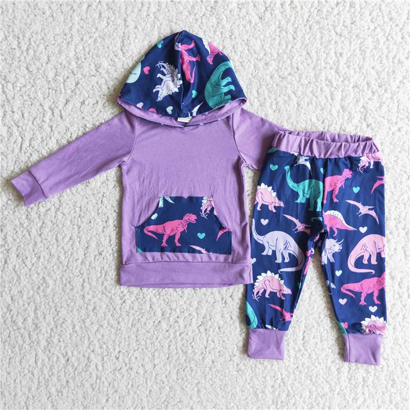 purple dinosaur Pocket winter hooded long sleeve top and long pants sets